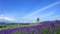 黑丝美女骚货日本一地6日游  境外旅游 6880元/人