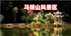 大几把骚逼69式